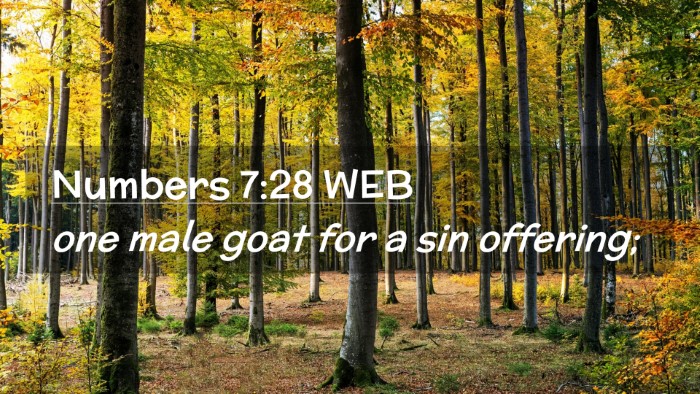 Picture 02 - Numbers 7:28 WEB Desktop Wallpaper - one male goat for a sin - Desktop Bible Verse Wallpaper