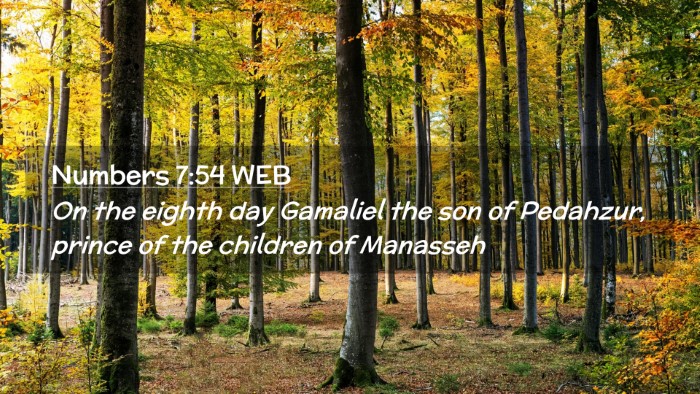 Picture 02 - Numbers 7:54 WEB Desktop Wallpaper - On the eighth day Gamaliel the son of Pedahzur, - Desktop Bible Verse Wallpaper