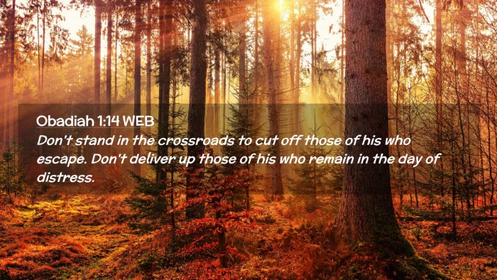 Picture 02 - Obadiah 1:14 WEB Desktop Wallpaper - Don't stand in the crossroads to cut off those of - Desktop Bible Verse Wallpaper