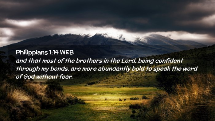 Picture 02 - Philippians 1:14 WEB Desktop Wallpaper - and that most of the brothers in the Lord, being - Desktop Bible Verse Wallpaper