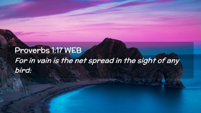 Picture 02 - Proverbs 1:17 WEB Desktop Wallpaper - For in vain is the net spread in the sight of any - Desktop Bible Verse Wallpaper