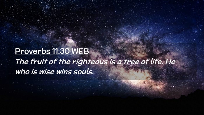 Picture 02 - Proverbs 11:30 WEB Desktop Wallpaper - The fruit of the righteous is a tree of life. He - Desktop Bible Verse Wallpaper