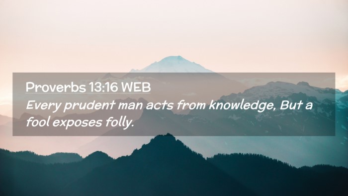 Picture 02 - Proverbs 13:16 WEB Desktop Wallpaper - Every prudent man acts from knowledge, But a fool - Desktop Bible Verse Wallpaper