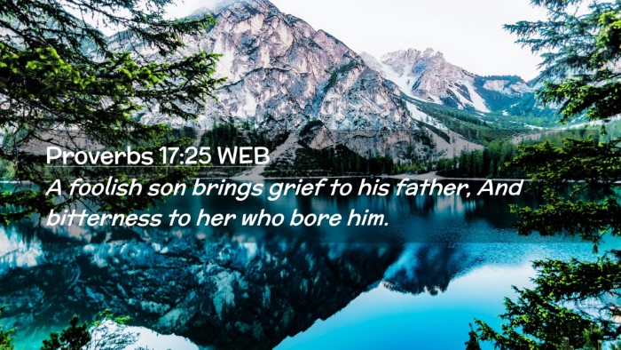Picture 02 - Proverbs 17:25 WEB Desktop Wallpaper - A foolish son brings grief to his father, And - Desktop Bible Verse Wallpaper