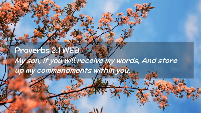 Picture 02 - Proverbs 2:1 WEB Desktop Wallpaper - My son, if you will receive my words, And store - Desktop Bible Verse Wallpaper