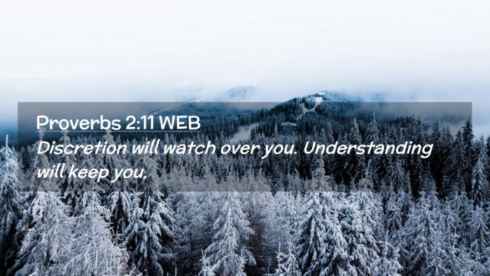 Picture 02 - Proverbs 2:11 WEB Desktop Wallpaper - Discretion will watch over you. Understanding - Desktop Bible Verse Wallpaper