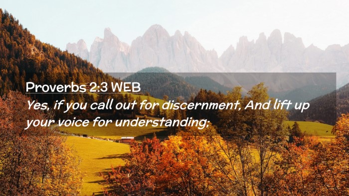 Picture 02 - Proverbs 2:3 WEB Desktop Wallpaper - Yes, if you call out for discernment, And lift up - Desktop Bible Verse Wallpaper