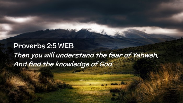 Picture 02 - Proverbs 2:5 WEB Desktop Wallpaper - Then you will understand the fear of Yahweh, And - Desktop Bible Verse Wallpaper