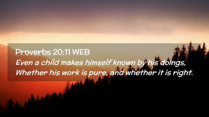 Picture 02 - Proverbs 20:11 WEB Desktop Wallpaper - Even a child makes himself known by his doings, - Desktop Bible Verse Wallpaper
