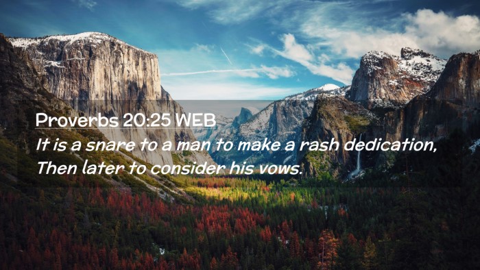 Picture 02 - Proverbs 20:25 WEB Desktop Wallpaper - It is a snare to a man to make a rash dedication, - Desktop Bible Verse Wallpaper