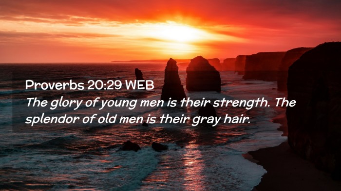 Picture 02 - Proverbs 20:29 WEB Desktop Wallpaper - The glory of young men is their strength. The - Desktop Bible Verse Wallpaper