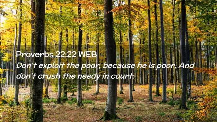 Picture 02 - Proverbs 22:22 WEB Desktop Wallpaper - Don't exploit the poor, because he is poor; And - Desktop Bible Verse Wallpaper