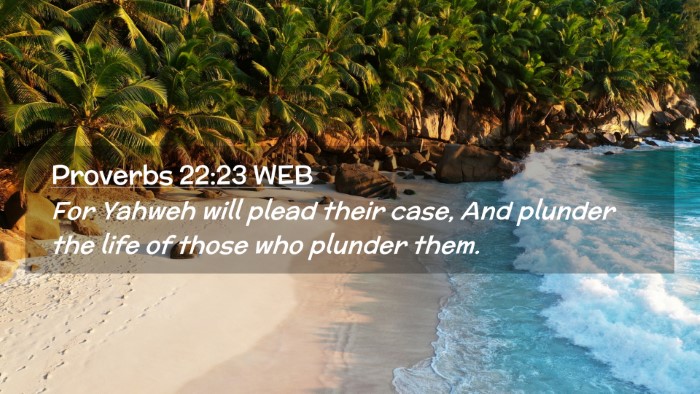 Picture 02 - Proverbs 22:23 WEB Desktop Wallpaper - For Yahweh will plead their case, And plunder the - Desktop Bible Verse Wallpaper