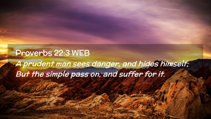 Picture 02 - Proverbs 22:3 WEB Desktop Wallpaper - A prudent man sees danger, and hides himself; But - Desktop Bible Verse Wallpaper