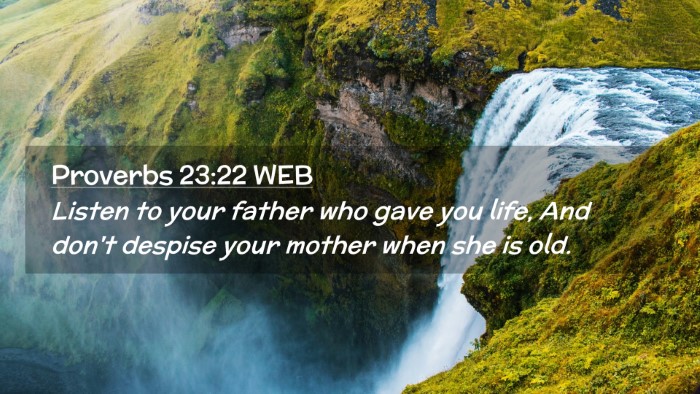 Picture 02 - Proverbs 23:22 WEB Desktop Wallpaper - Listen to your father who gave you life, And - Desktop Bible Verse Wallpaper