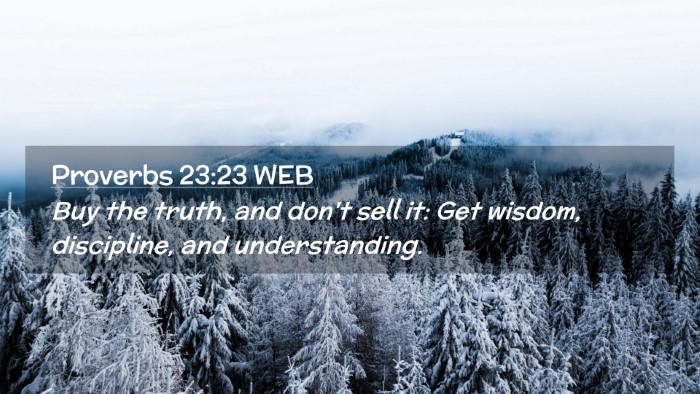 Picture 02 - Proverbs 23:23 WEB Desktop Wallpaper - Buy the truth, and don't sell it: Get wisdom, - Desktop Bible Verse Wallpaper