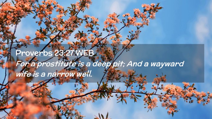 Picture 02 - Proverbs 23:27 WEB Desktop Wallpaper - For a prostitute is a deep pit; And a wayward - Desktop Bible Verse Wallpaper