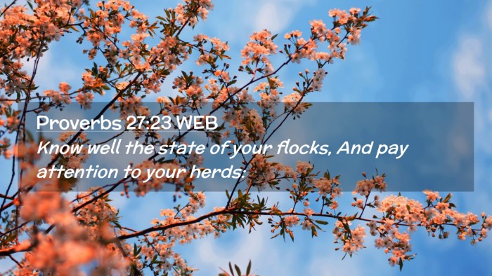 Picture 02 - Proverbs 27:23 WEB Desktop Wallpaper - Know well the state of your flocks, And pay - Desktop Bible Verse Wallpaper