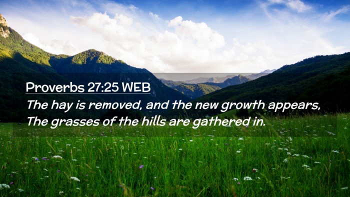 Picture 02 - Proverbs 27:25 WEB Desktop Wallpaper - The hay is removed, and the new growth appears, - Desktop Bible Verse Wallpaper