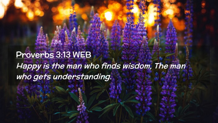 Picture 02 - Proverbs 3:13 WEB Desktop Wallpaper - Happy is the man who finds wisdom, The man who - Desktop Bible Verse Wallpaper