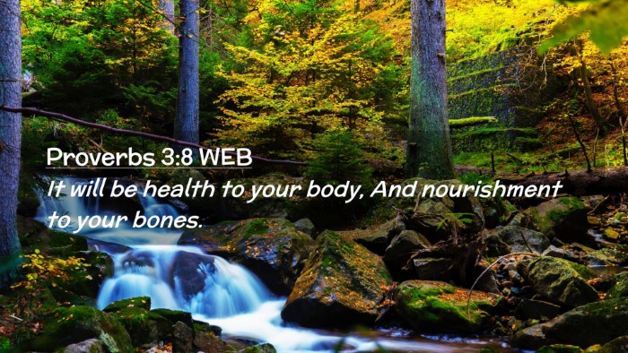 Picture 02 - Proverbs 3:8 WEB Desktop Wallpaper - It will be health to your body, And nourishment - Desktop Bible Verse Wallpaper