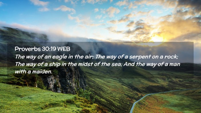Picture 02 - Proverbs 30:19 WEB Desktop Wallpaper - The way of an eagle in the air; The way of a - Desktop Bible Verse Wallpaper
