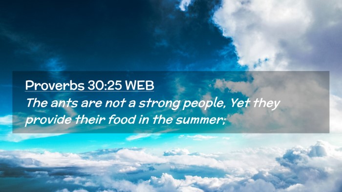 Picture 02 - Proverbs 30:25 WEB Desktop Wallpaper - The ants are not a strong people, Yet they - Desktop Bible Verse Wallpaper