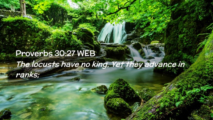 Picture 02 - Proverbs 30:27 WEB Desktop Wallpaper - The locusts have no king, Yet they advance in - Desktop Bible Verse Wallpaper