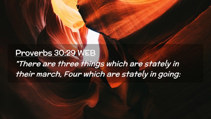 Picture 02 - Proverbs 30:29 WEB Desktop Wallpaper - 