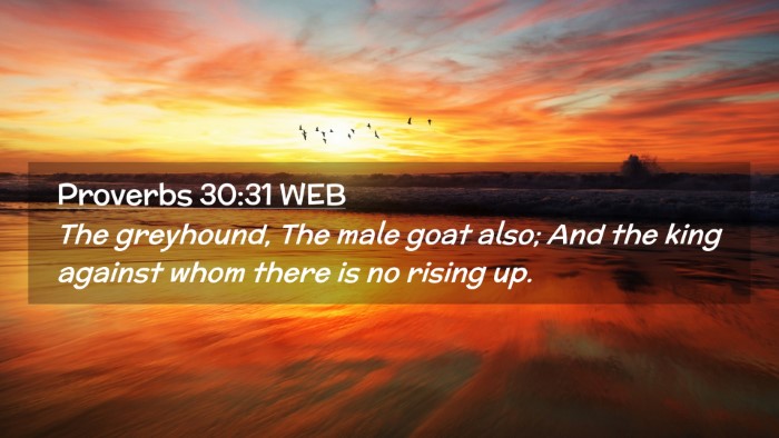 Picture 02 - Proverbs 30:31 WEB Desktop Wallpaper - The greyhound, The male goat also; And the king - Desktop Bible Verse Wallpaper