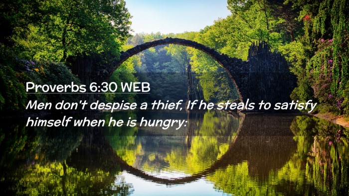 Picture 02 - Proverbs 6:30 WEB Desktop Wallpaper - Men don't despise a thief, If he steals to - Desktop Bible Verse Wallpaper