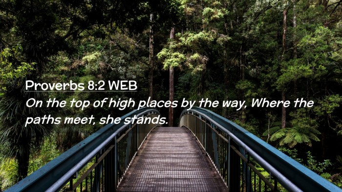 Picture 02 - Proverbs 8:2 WEB Desktop Wallpaper - On the top of high places by the way, Where the - Desktop Bible Verse Wallpaper