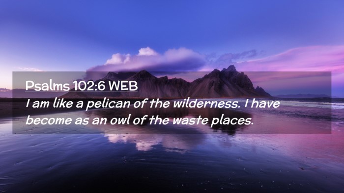 Picture 02 - Psalms 102:6 WEB Desktop Wallpaper - I am like a pelican of the wilderness. I have - Desktop Bible Verse Wallpaper