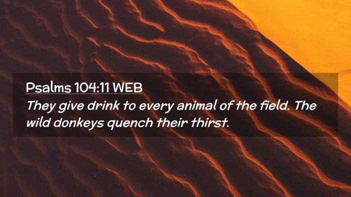 Picture 02 - Psalms 104:11 WEB Desktop Wallpaper - They give drink to every animal of the field. The - Desktop Bible Verse Wallpaper