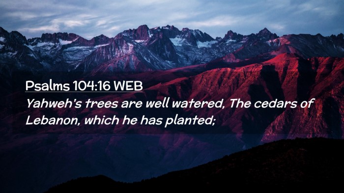 Picture 02 - Psalms 104:16 WEB Desktop Wallpaper - Yahweh's trees are well watered, The cedars of - Desktop Bible Verse Wallpaper