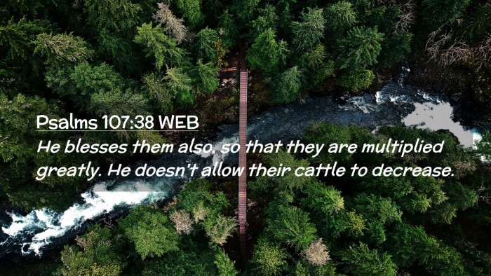 Picture 02 - Psalms 107:38 WEB Desktop Wallpaper - He blesses them also, so that they are multiplied - Desktop Bible Verse Wallpaper