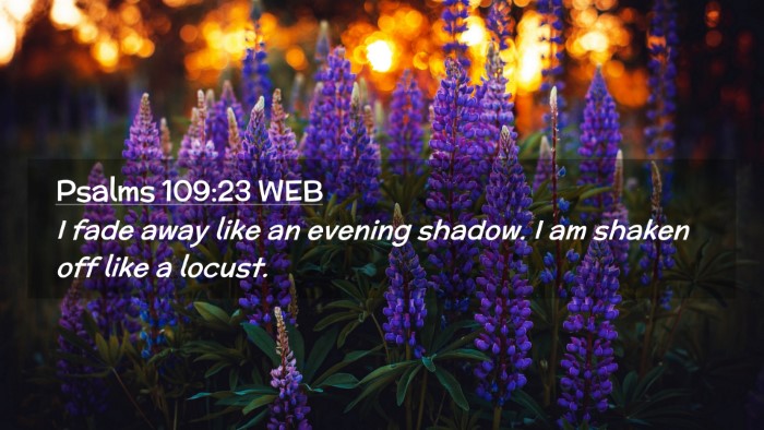 Picture 02 - Psalms 109:23 WEB Desktop Wallpaper - I fade away like an evening shadow. I am shaken - Desktop Bible Verse Wallpaper