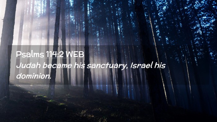 Picture 02 - Psalms 114:2 WEB Desktop Wallpaper - Judah became his sanctuary, Israel his - Desktop Bible Verse Wallpaper