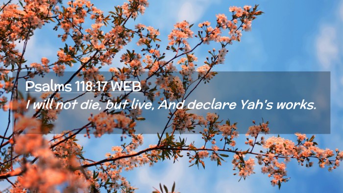 Picture 02 - Psalms 118:17 WEB Desktop Wallpaper - I will not die, but live, And declare Yah's - Desktop Bible Verse Wallpaper