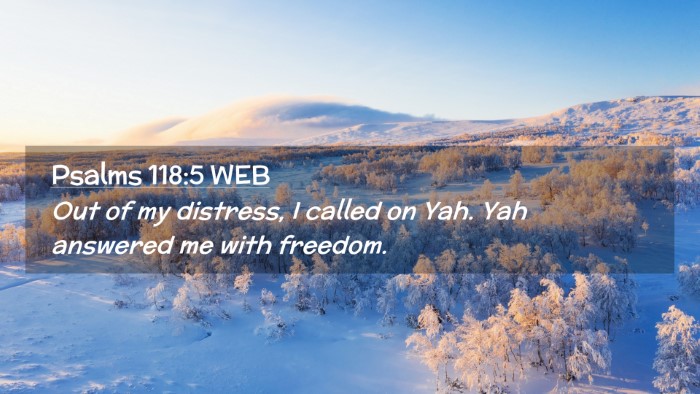 Picture 02 - Psalms 118:5 WEB Desktop Wallpaper - Out of my distress, I called on Yah. Yah answered - Desktop Bible Verse Wallpaper