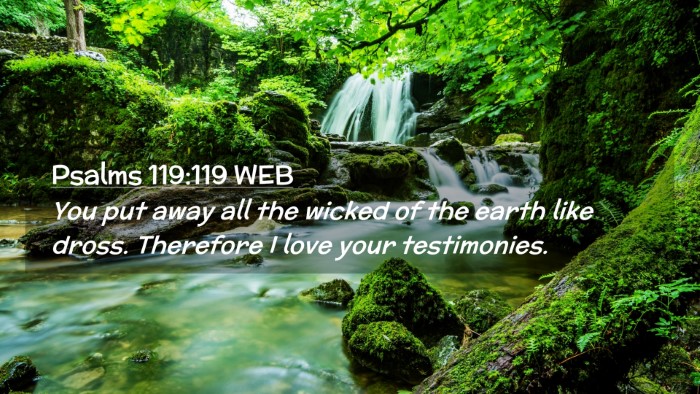 Picture 02 - Psalms 119:119 WEB Desktop Wallpaper - You put away all the wicked of the earth like - Desktop Bible Verse Wallpaper