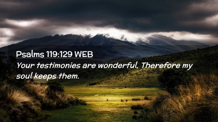Picture 02 - Psalms 119:129 WEB Desktop Wallpaper - Your testimonies are wonderful, Therefore my soul - Desktop Bible Verse Wallpaper