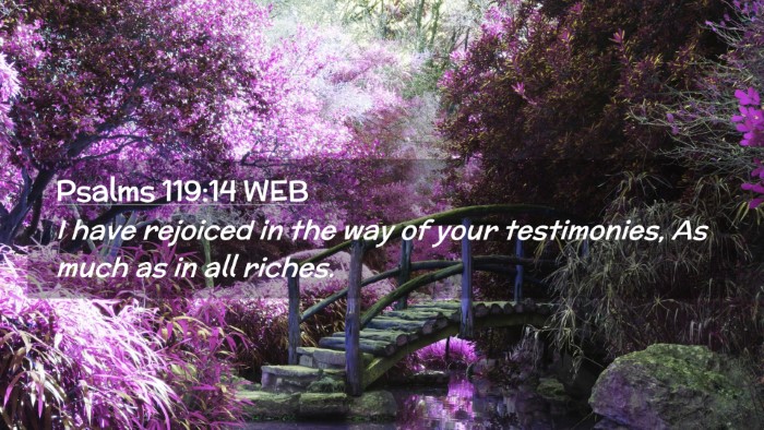 Picture 02 - Psalms 119:14 WEB Desktop Wallpaper - I have rejoiced in the way of your testimonies, - Desktop Bible Verse Wallpaper