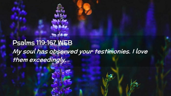 Picture 02 - Psalms 119:167 WEB Desktop Wallpaper - My soul has observed your testimonies. I love - Desktop Bible Verse Wallpaper