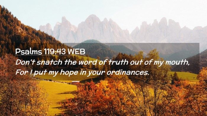 Picture 02 - Psalms 119:43 WEB Desktop Wallpaper - Don't snatch the word of truth out of my mouth, - Desktop Bible Verse Wallpaper