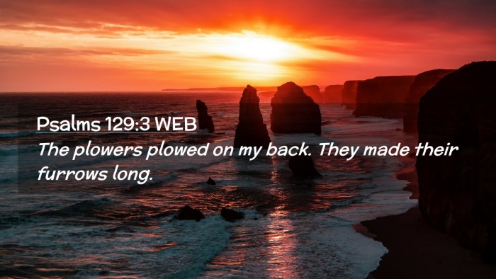 Picture 02 - Psalms 129:3 WEB Desktop Wallpaper - The plowers plowed on my back. They made their - Desktop Bible Verse Wallpaper