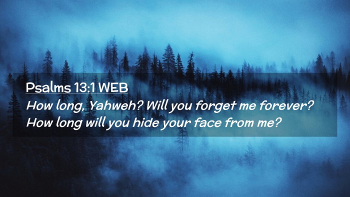 Picture 02 - Psalms 13:1 WEB Desktop Wallpaper - How long, Yahweh? Will you forget me forever? How - Desktop Bible Verse Wallpaper