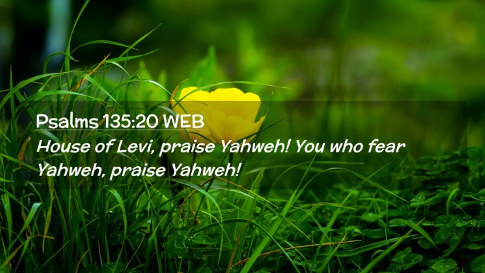 Picture 02 - Psalms 135:20 WEB Desktop Wallpaper - House of Levi, praise Yahweh! You who fear - Desktop Bible Verse Wallpaper