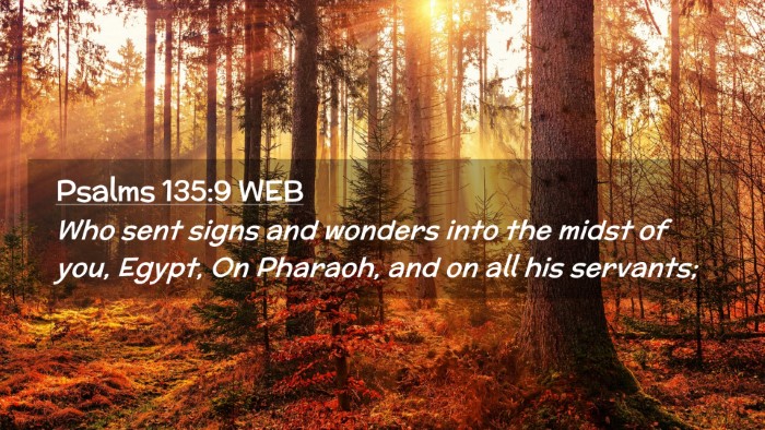 Picture 02 - Psalms 135:9 WEB Desktop Wallpaper - Who sent signs and wonders into the midst of you, - Desktop Bible Verse Wallpaper