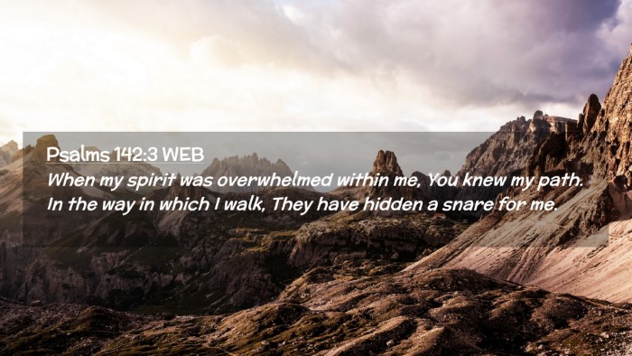 Picture 02 - Psalms 142:3 WEB Desktop Wallpaper - When my spirit was overwhelmed within me, You - Desktop Bible Verse Wallpaper